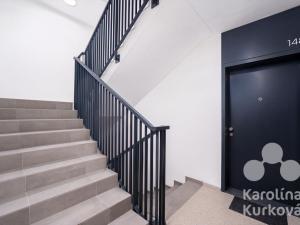 Pronájem bytu 2+kk, Praha, Muzikova, 60 m2