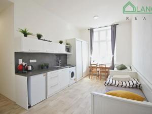 Pronájem bytu 1+kk, Brno, Palackého třída, 27 m2