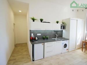 Pronájem bytu 1+kk, Brno, Palackého třída, 27 m2
