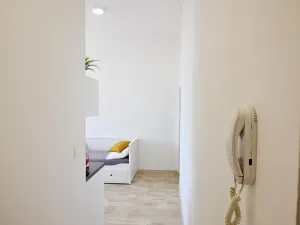 Pronájem bytu 1+kk, Brno, Palackého třída, 27 m2