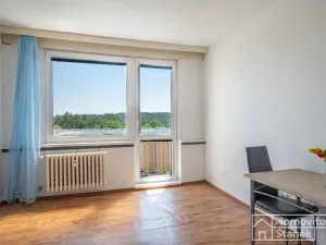 Prodej bytu 1+1, Všemyslice, 41 m2