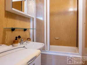 Prodej bytu 1+1, Všemyslice, 41 m2