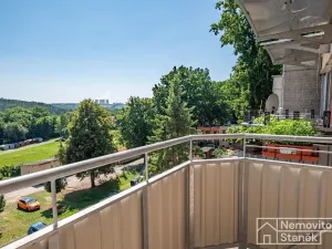 Prodej bytu 1+1, Všemyslice, 41 m2
