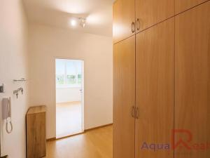 Pronájem bytu 2+1, Ostrov, S. K. Neumanna, 57 m2
