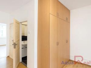 Pronájem bytu 2+1, Ostrov, S. K. Neumanna, 57 m2