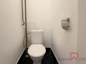 Pronájem bytu 2+1, Ostrov, S. K. Neumanna, 57 m2