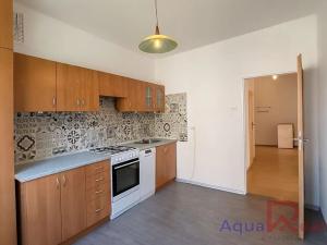 Pronájem bytu 2+1, Ostrov, S. K. Neumanna, 57 m2