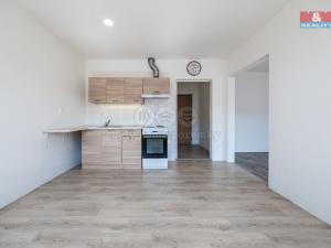 Prodej bytu 1+1, Žatec, Černobýla, 35 m2