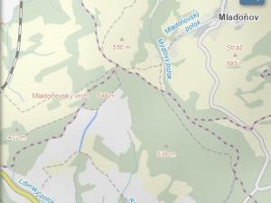 Prodej pozemku, Libina, 6659 m2