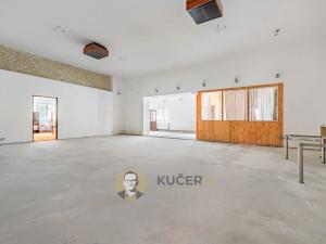 Prodej komerční nemovitosti, Velká Chmelištná, 550 m2