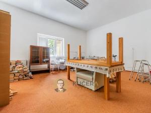 Prodej komerční nemovitosti, Velká Chmelištná, 550 m2
