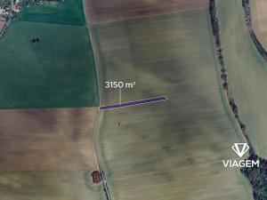 Prodej pole, Morkovice-Slížany, 3150 m2