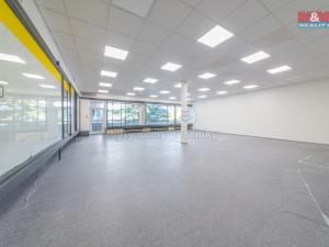 Pronájem obchodního prostoru, Havířov - Podlesí, Dlouhá třída, 500 m2