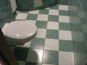 Pronájem bytu 2+1, Ústí nad Labem, Ladova, 62 m2