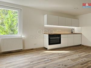 Pronájem bytu 1+kk, Praha - Horní Počernice, Náchodská, 35 m2