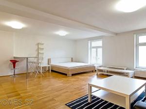 Pronájem bytu 1+kk, Praha - Žižkov, Jagellonská, 48 m2