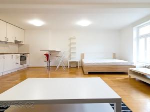 Pronájem bytu 1+kk, Praha - Žižkov, Jagellonská, 48 m2