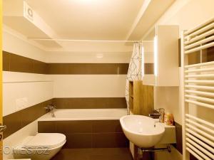 Pronájem bytu 1+kk, Praha - Žižkov, Jagellonská, 48 m2