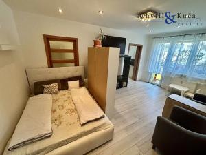 Pronájem bytu 3+1, Přerov, Interbrigadistů, 61 m2