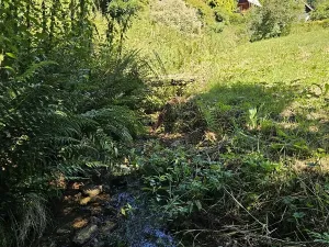 Prodej pozemku pro bydlení, Velké Losiny, 602 m2