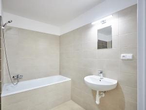 Pronájem bytu 1+kk, Plzeň, Železniční, 43 m2