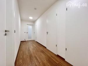 Pronájem bytu 2+kk, Olomouc, Ostrovní, 62 m2