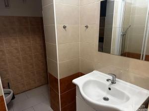 Pronájem bytu 1+kk, Praha - Vinohrady, Řipská, 46 m2
