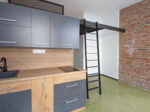 Pronájem bytu 1+kk, Hradec Králové, Šafaříkova, 18 m2