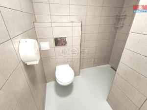 Pronájem obchodního prostoru, Mladá Boleslav - Mladá Boleslav II, 17. listopadu, 160 m2