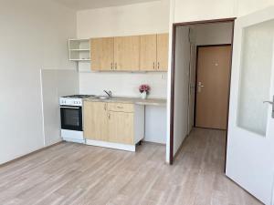 Pronájem bytu 1+1, Litvínov, Rooseveltova, 37 m2