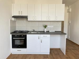 Pronájem bytu 1+1, Litvínov, Rooseveltova, 37 m2