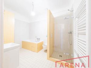 Pronájem bytu 5+kk, Brno, 165 m2