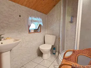 Prodej zemědělské usedlosti, Čečovice, 170 m2