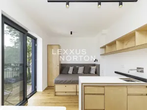 Pronájem bytu 1+kk, Praha - Nusle, Na Topolce, 27 m2