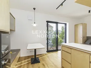 Pronájem bytu 1+kk, Praha - Nusle, Na Topolce, 27 m2