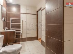 Pronájem bytu 1+kk, Karviná - Fryštát, Masarykovo nám., 30 m2