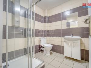 Pronájem bytu 1+1, Sytno, 49 m2