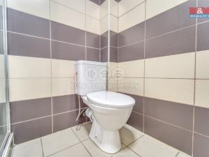 Pronájem bytu 1+1, Sytno, 49 m2