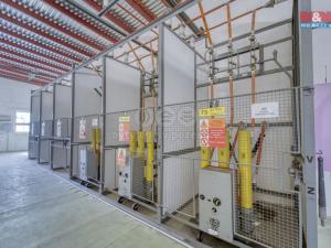 Prodej výrobních prostor, Horní Bříza, Tovární, 600 m2