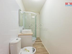 Prodej bytu 1+1, Praha - Břevnov, Bělohorská, 49 m2