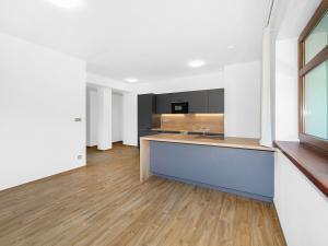 Pronájem bytu 3+kk, Plzeň - Severní Předměstí, Bolevecká, 58 m2