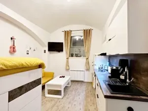 Prodej bytu 1+kk, Praha - Vinohrady, Rubešova, 24 m2