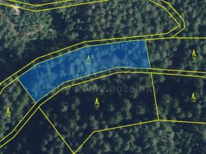 Prodej lesa, Proseč, 5021 m2