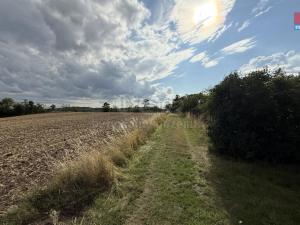 Prodej zahrady, Husinec, Na Kazatelně, 1198 m2