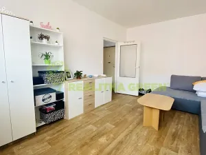 Pronájem bytu 1+1, Otrokovice, 41 m2