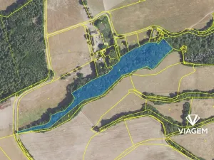 Prodej lesa, Nižbor, 13464 m2