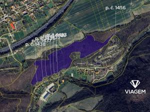 Prodej lesa, Svatý Jan pod Skalou, 99566 m2