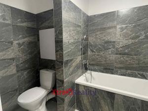Pronájem bytu 3+1, Bílina - Pražské Předměstí, Alšova, 56 m2