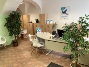 Pronájem obchodního prostoru, Chomutov, Revoluční, 40 m2