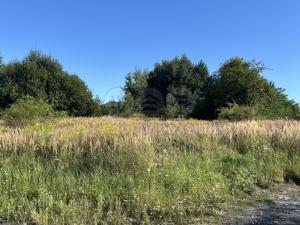 Prodej rodinného domu, Březí, 125 m2